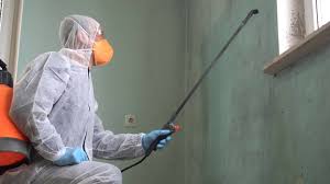 Best Industrial Mold Remediation  in North Les, AK