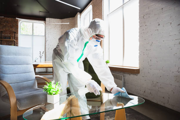 Best Mold Odor Removal Services  in North Les, AK